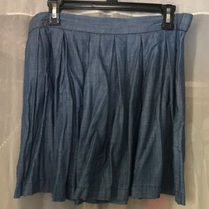 Chambray Skirt